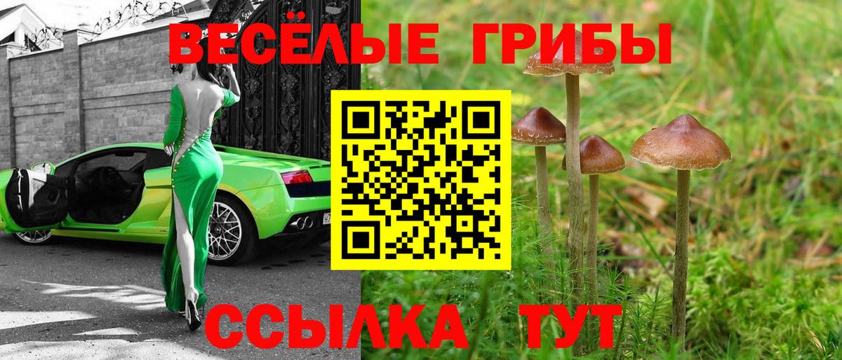 MDMA  МАРИХУАНА  Меф кристаллы  Вход с VPN  Кодеин  LSD-25  Трёхгорный  ГАШ 